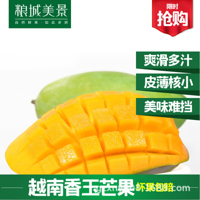 【328】越南进口香芒玉芒果5斤精选装   应季新鲜水果包邮|ru