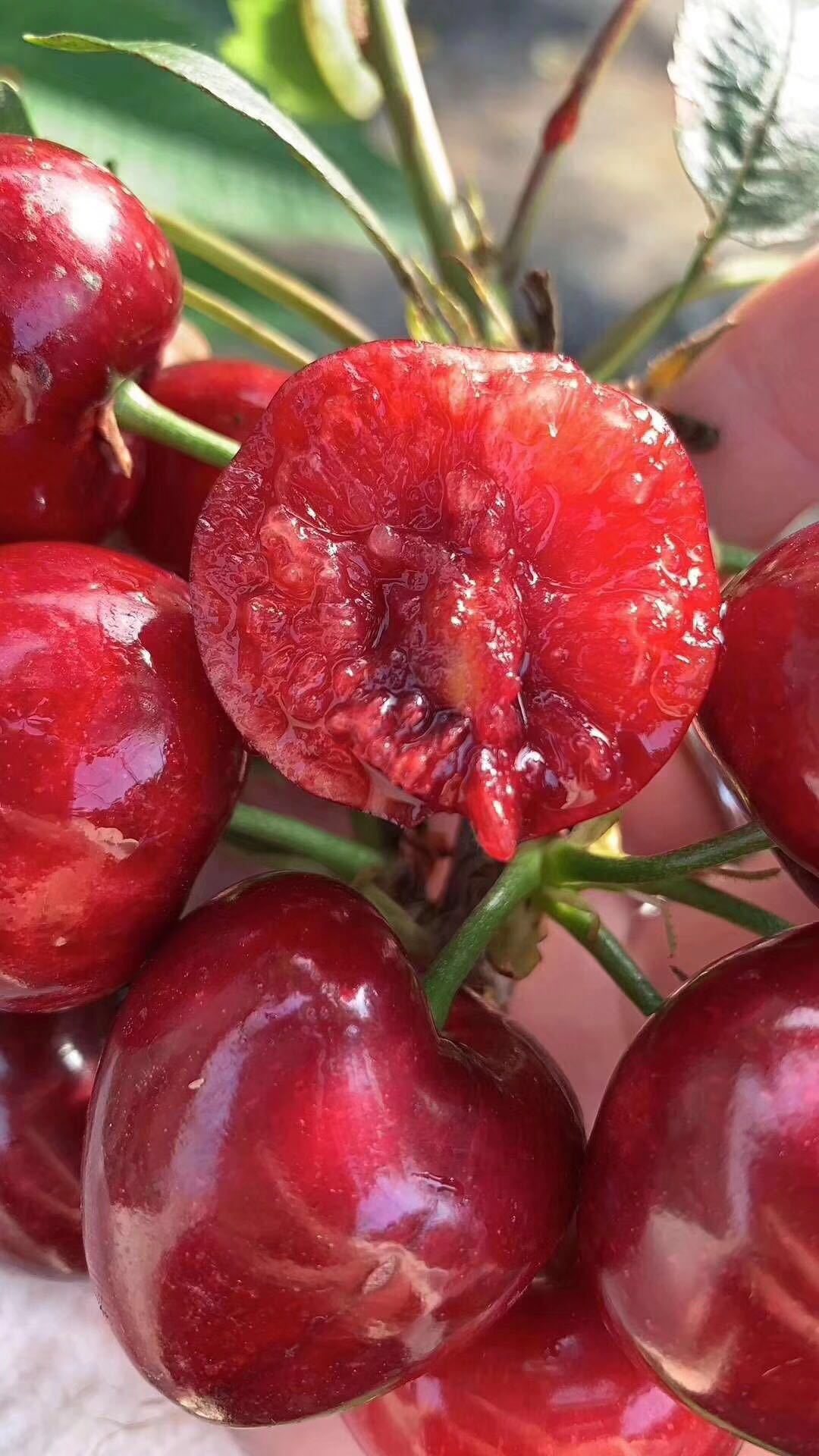 微信图片_201903211115563