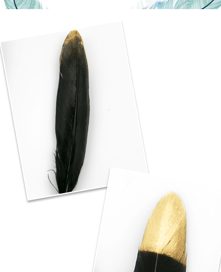 详情-无颜色版_05