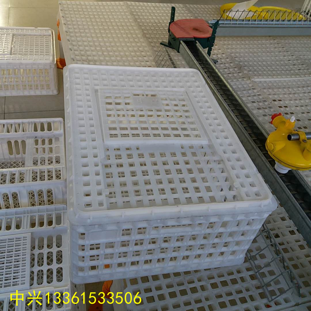 肉鸡周转筐	成鸡转运箱拉鸡笼子塑料鸭笼规格