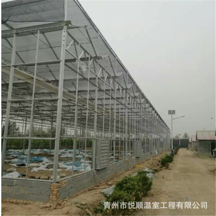 厂家供应玻璃温室 批发农业连栋温室大棚 连体智能蔬菜温室大棚