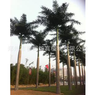 ���l�������Ҭ�Ә���������҃������Ҭ���^��Ꭷ���ּ�Ҭ�Ә�