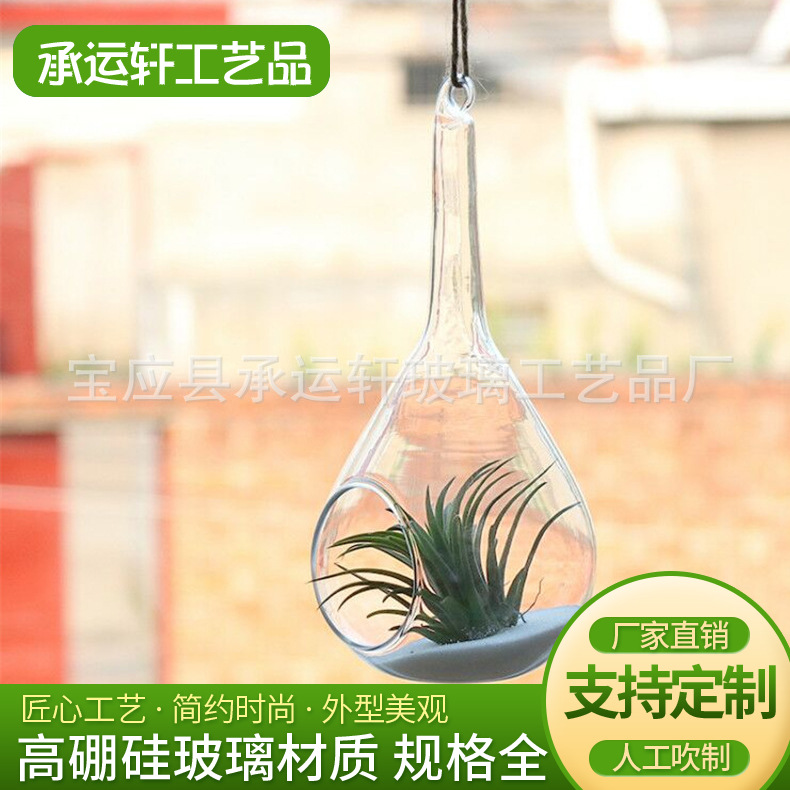 Auspicious gourd -type succulent micro -landscape glass vase…