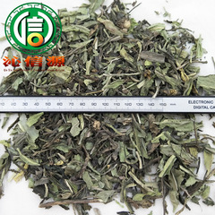 Bulk Green Mulberry Leaves 1kg Loose Packaging, Directly Supplied from Origin, for Decoction Board Radix Isatidis, Ningshin Source Traditional Chinese Medicine Wholesale