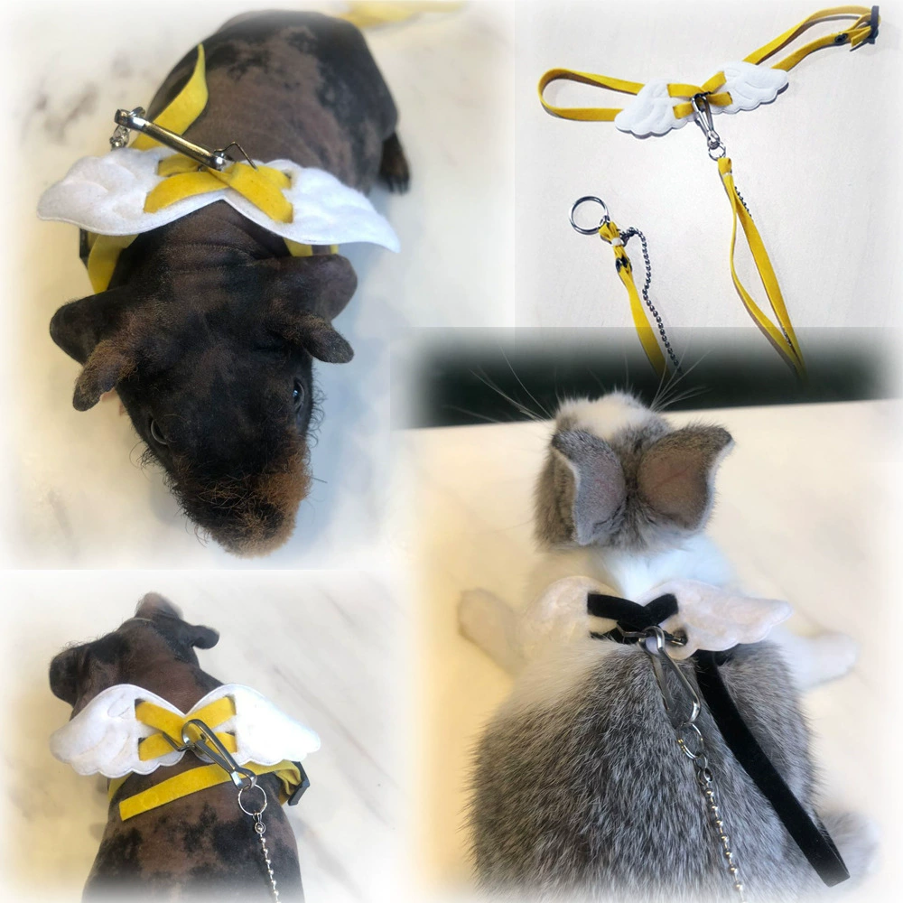 Кролик домашнее животное норка морская свинья Pet Angel крылья Тяговая веревка из тягового ремня прогулочная веревка