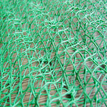 �o�¾W ֲ�ݾW ߅���o��ֲ�������Sֲ���W ���S�����W�|