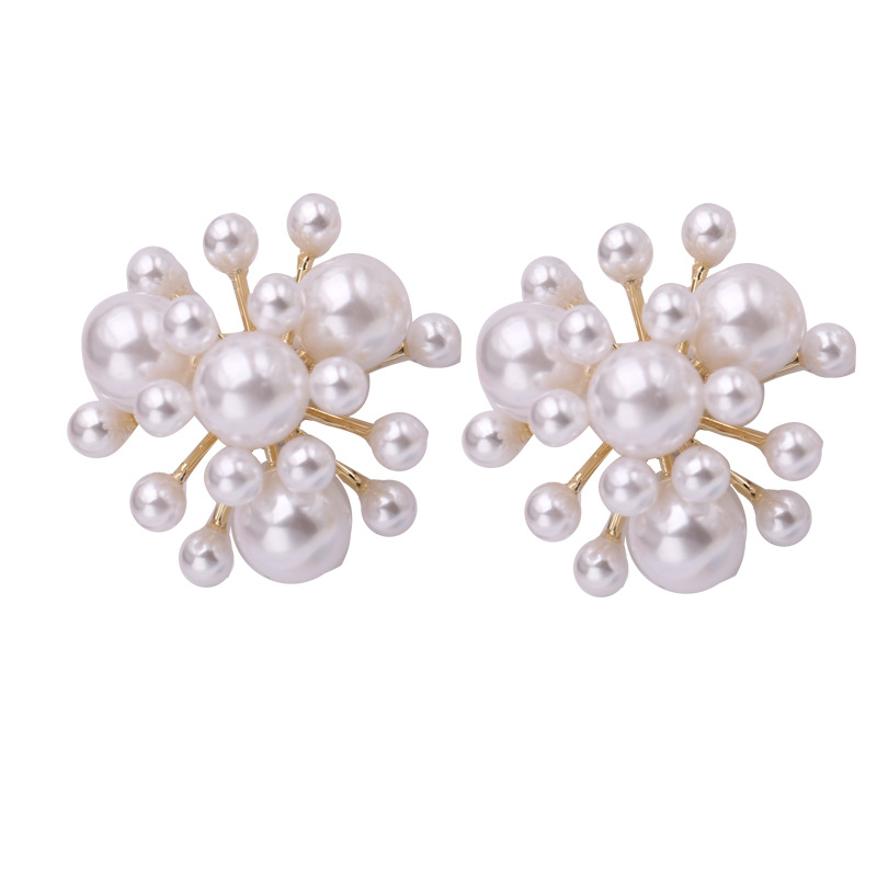 Pearl Size Pearl Temperament Earrings Female Fashion Earrings 925 Silver Needle Ear Jewelry display picture 10