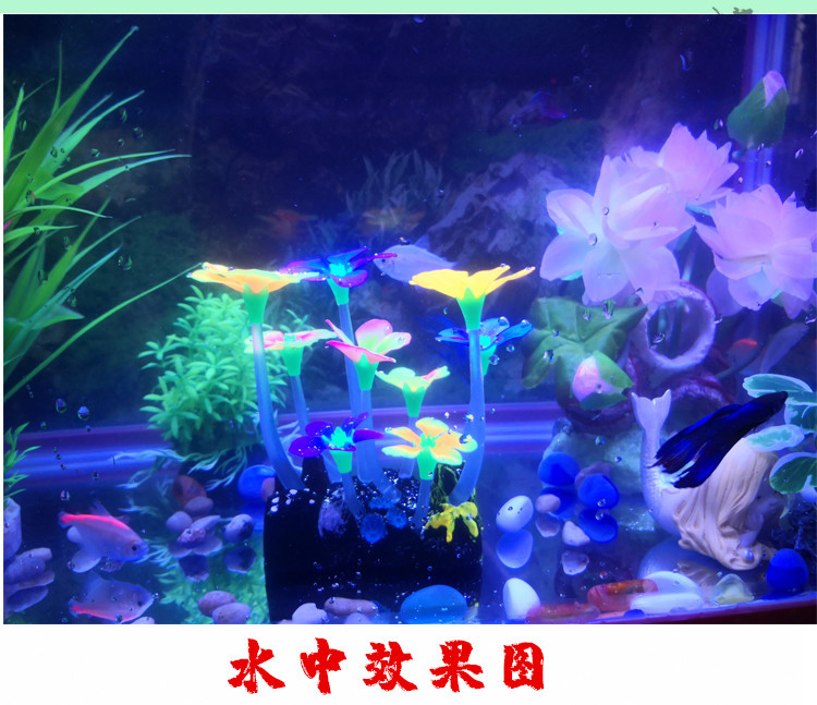 IMG_20190518_1222483