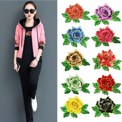 Zhen Mei Embroidery Supplies, Clothing Accessories, Embroidered Edge, 3D Fabric Stickers, Ethnic Denim Clothing Fabric Patches, Water-Soluble Shoes Flowers