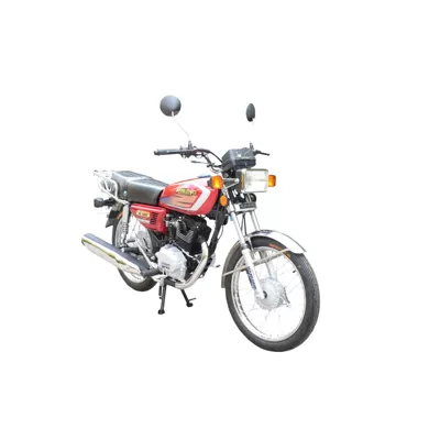 Model, Lightweight and Fuel-Efficient, Motosikletlər