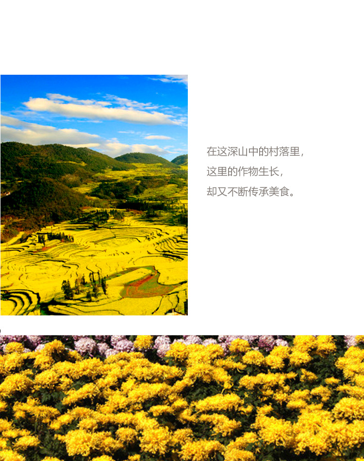 Yunnan Golden Silk Imperial Chrysanthemum Tea Dried Chrysanthemum Flower Herbal Tea 500g preparation