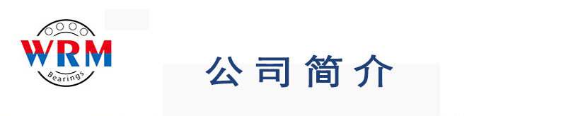 公司简介1