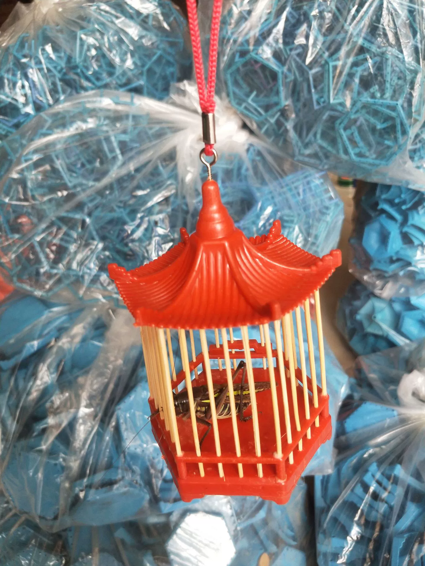 Hello Клетка ручной работы из красного дерева