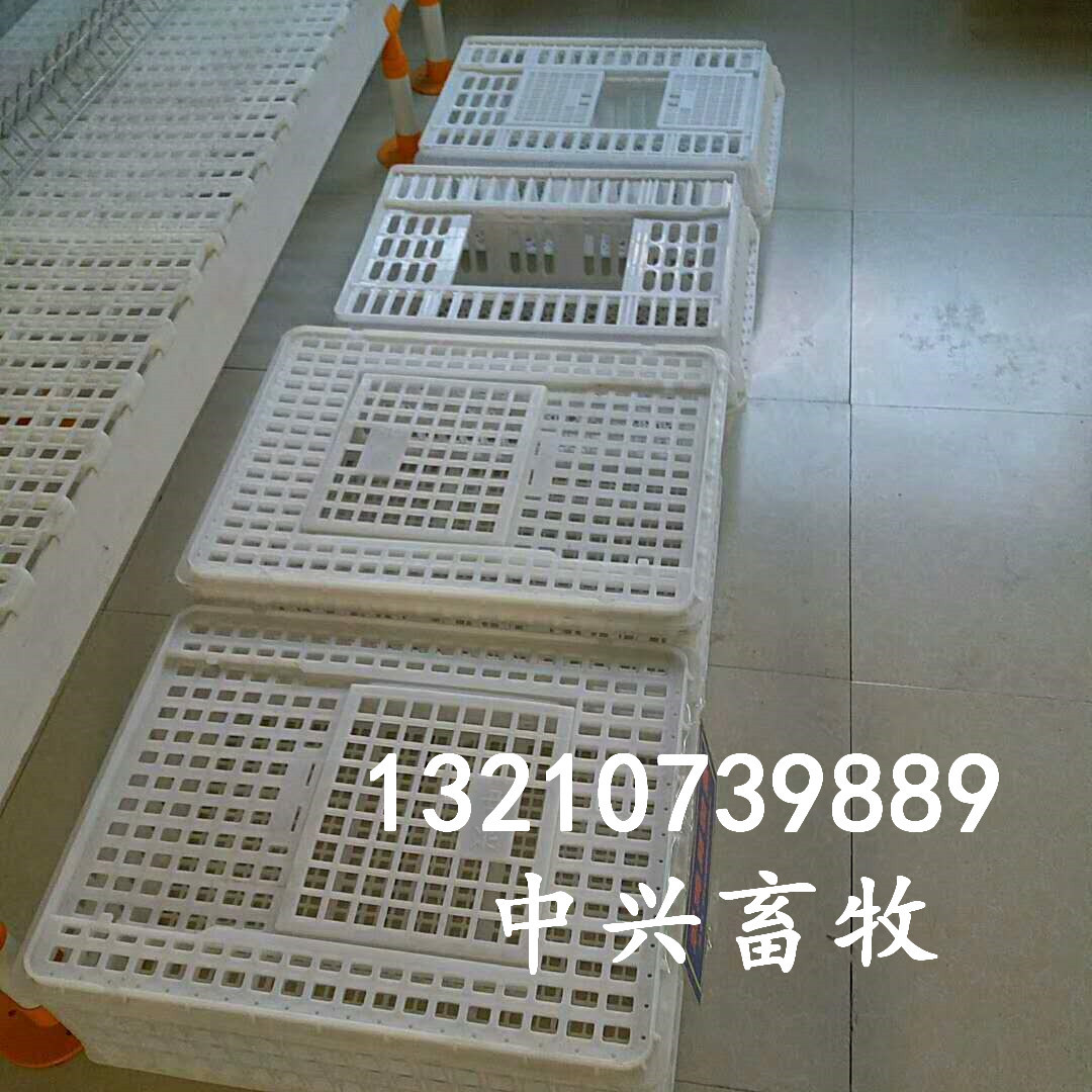 塑料制品周转箱	养殖厂用周转箱	鸡鸭运输筐用途厂家直销PP塑料周