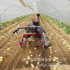 70宽全自动土豆收获机 青海土豆收获机图片厂 马铃薯机械化收获机