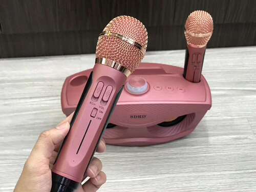 SD-306 Wireless Bluetooth Microphone Card Speaker Home KTV Live Broadcast Portable Speaker Cross-Border Wholesale