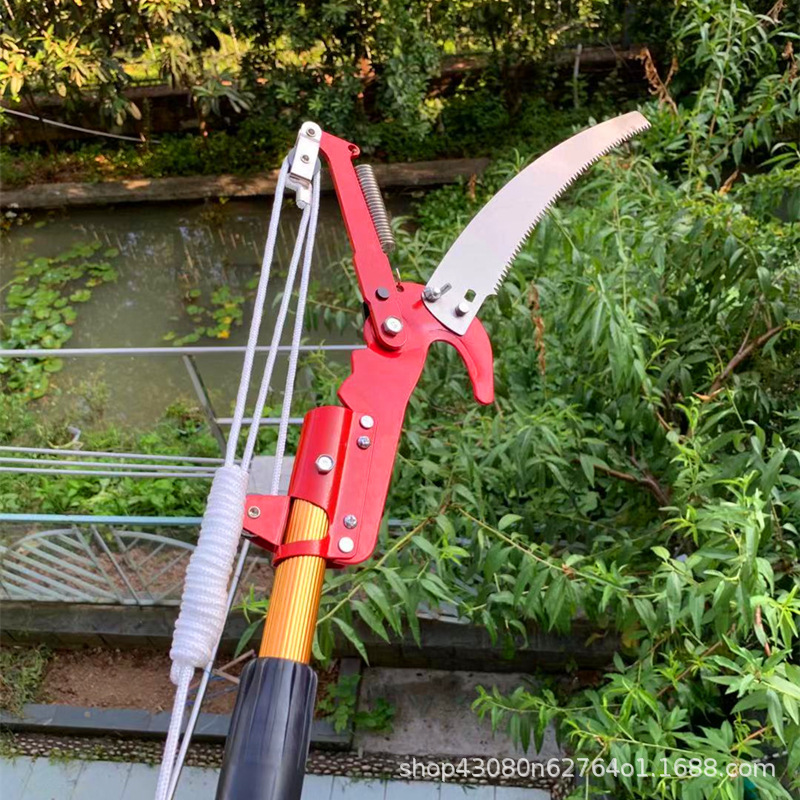 微信图片_20191230103511