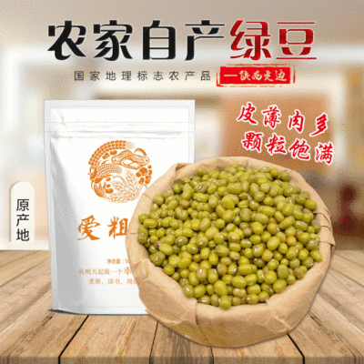 綠豆陝北明綠豆 農家特産綠豆明綠豆 五谷雜糧綠豆真空包裝490g