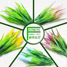 ����Gֲ �ٲ�ֲ������С��5�洺���辰�@ˇ�廨�̨�b���С��