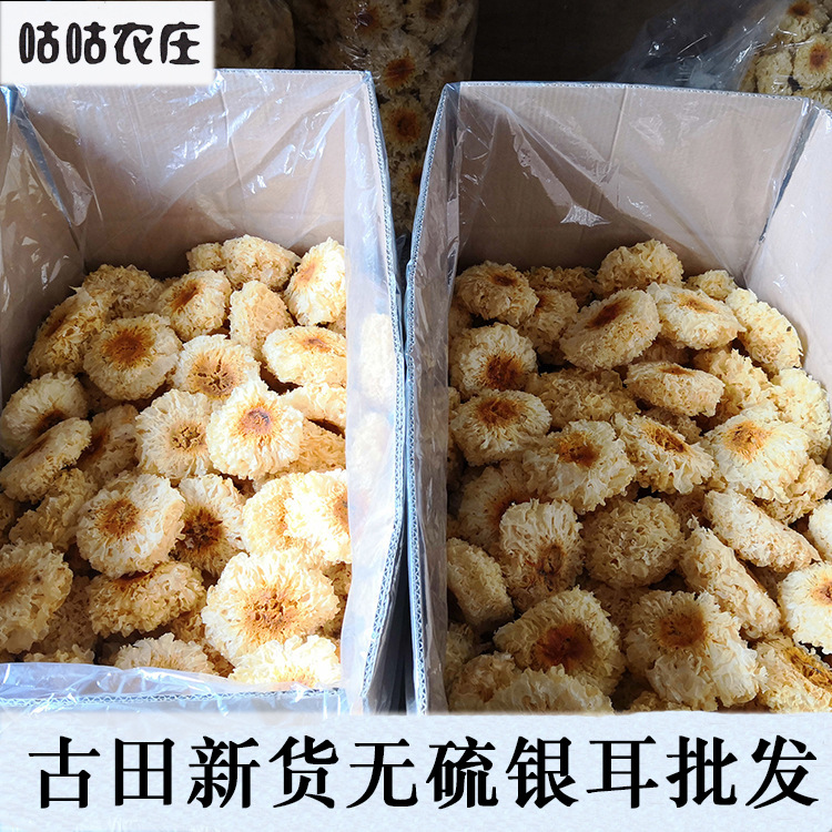 咕咕农庄古田食用菌特产干货银耳 白木耳无熏硫散装批发厂家|ru
