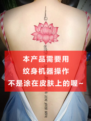 Permanent Semi-Permanent Small Tattoo Pigment Ink Solution Color Plant Easy to Color Multicolor Tattoos Black Set