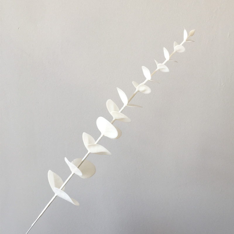 微信图片_201911251502272_副本