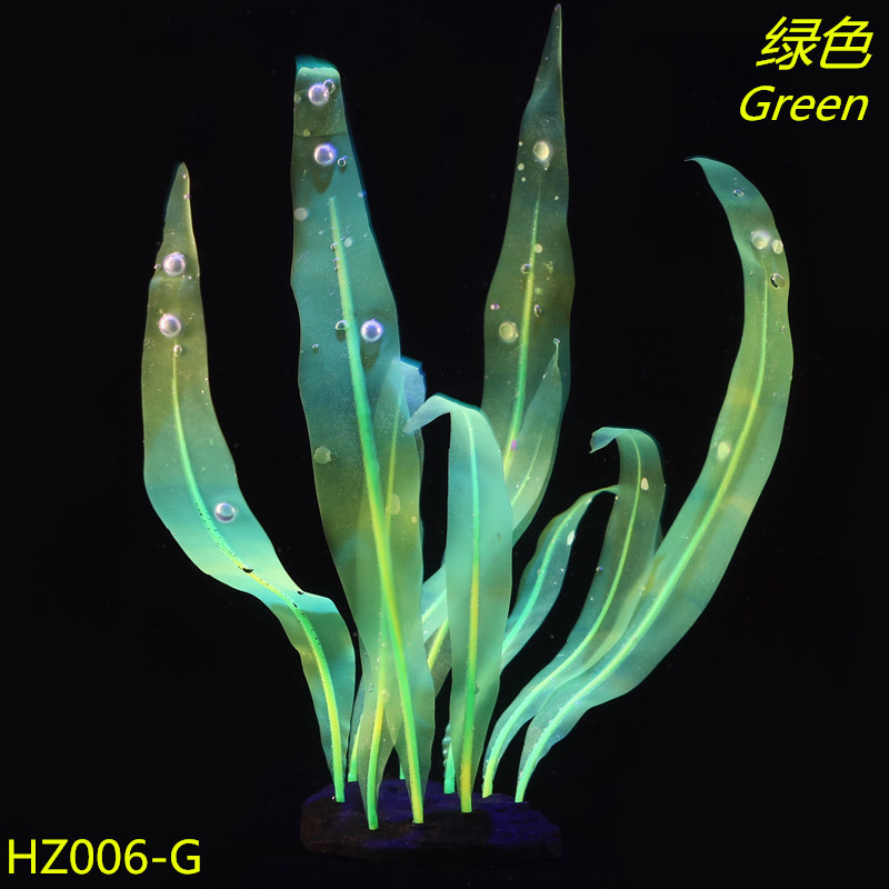 9153796141_1708518238