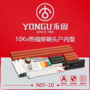 10KV��s��|�K���^NSY-10���̸����߉���о��о�^���׹ܽ^�����o