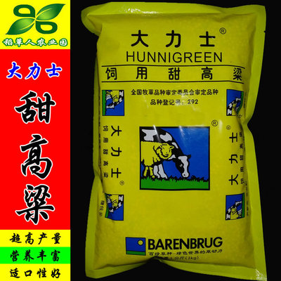 Base wholesale Hercules Sweet sorghum seed Netherlands Sheep silage feed Forage species Budding rate