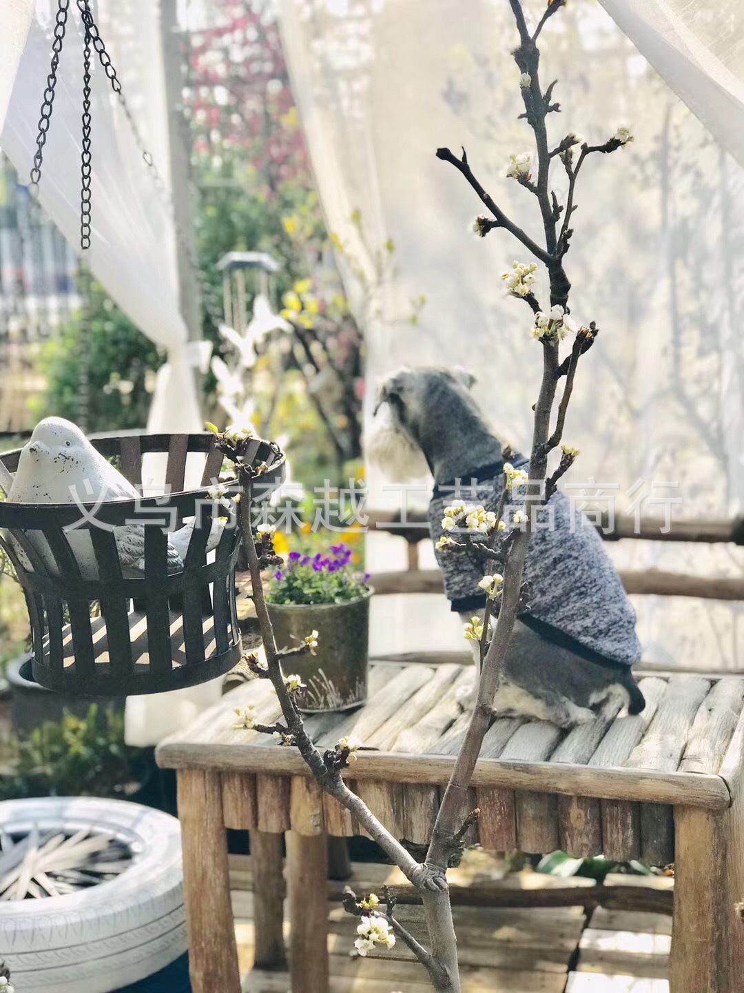 WeChat picture_201908071246506.jpg