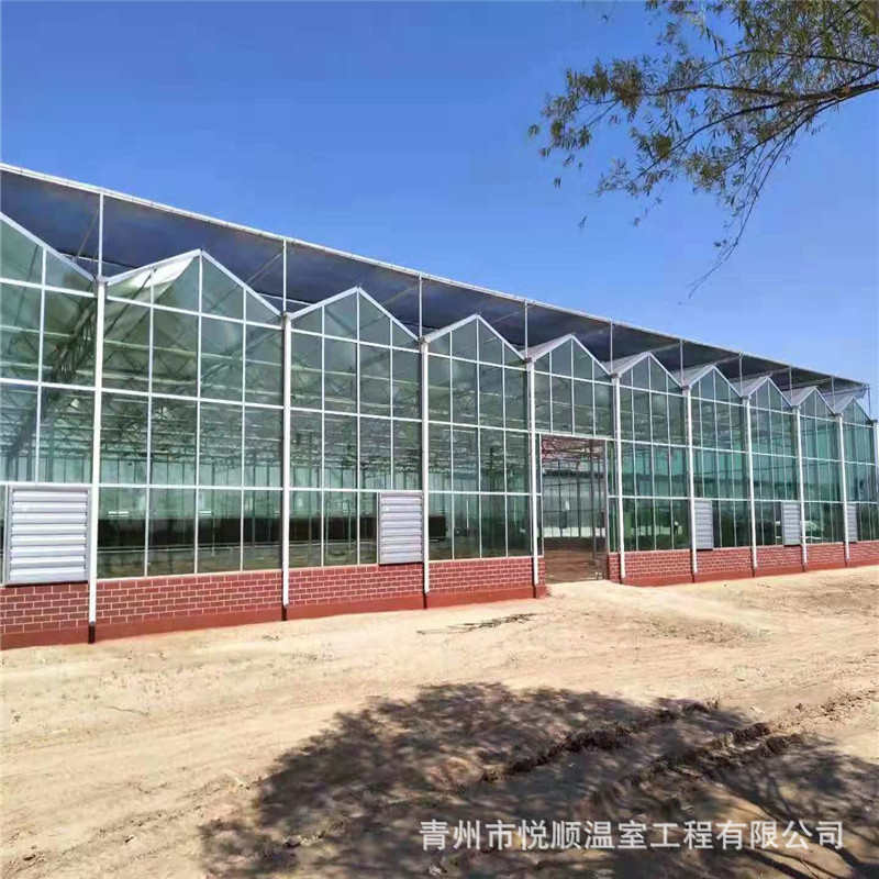 日光温室玻璃文洛温室现代化温室大棚智能温室玻璃智慧农业种植