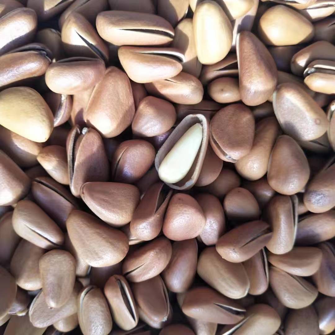 微信图片_201909251511074