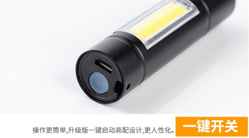 Lampe de survie 5W - Ref 3399484 Image 30