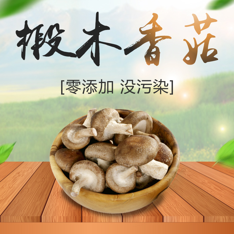 厂家供应批发 野生椴木香菇 食用菌 500g 煲汤食用 农家货源直销|ru