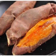 诸城工厂直销红薯烘烤流水线烤红薯线冰冻红薯生产线