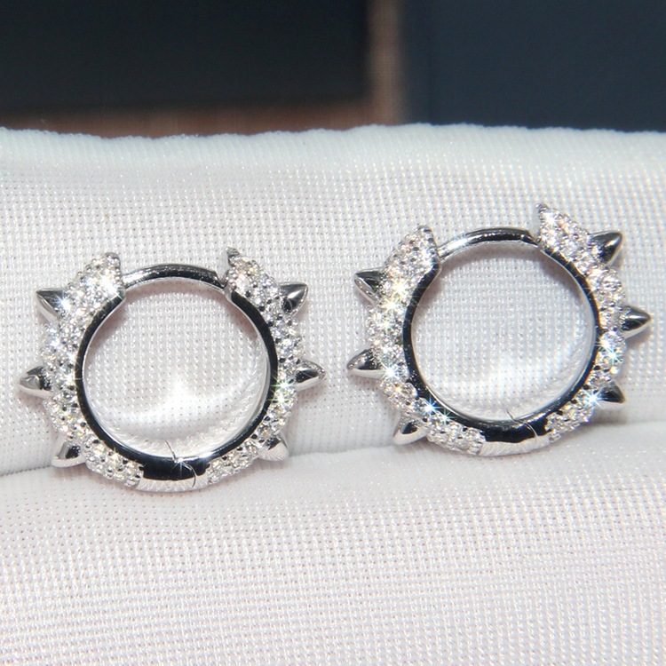 Elegant Ear Studs