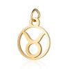 Golden zodiac signs stainless steel, pendant, accessory, wholesale