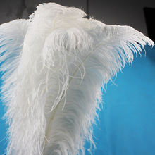 ��ʢ��60-65cm�r�Bë�֗U�r�B��ë�F؛С�� ��ɫ��ë���|�r�Bë