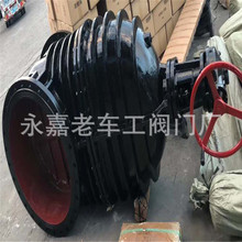 X݆Uly DN400 u݆TFUly UШʽly Z545T-10