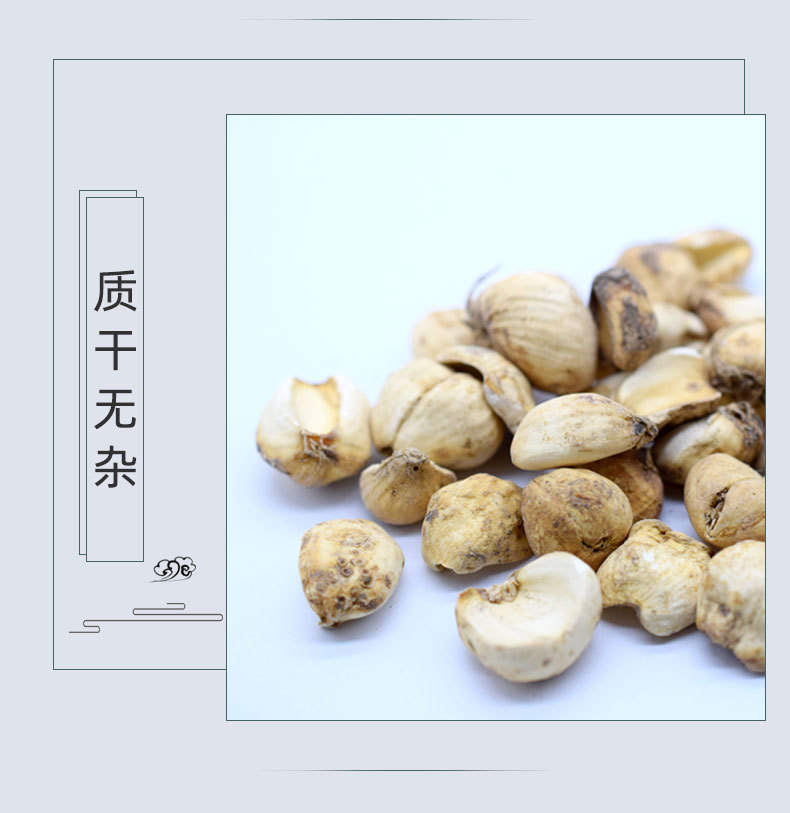 Xinjiang Bulbus Fritillaria Whole Dried Herb Beimu Yibeimu Bulk 500g quality and texture