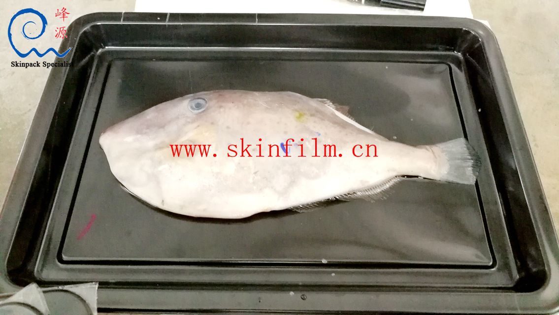 食品贴体膜  食品贴体包装膜  食品级冷冻食品真空贴体膜