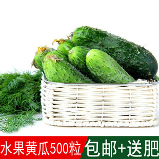 �������rˮ����ˮ���S�ϷN���߲��ѿ�ʳ�ÿڸк��ļ��ɲ�