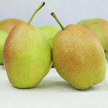 ���Ӽt�������ЋDˮ��������ǎ젖�����������r����ˮ��������