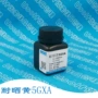 5gxa永固黄