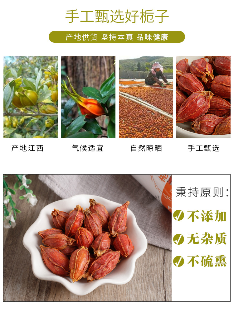 Gardenia Fruit (Gardenia jasminoides) — Dried Zhi Zi for Herbal Tea & TCM Blends, 100g Jar overview