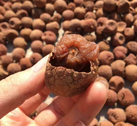 新鲜龙眼;其他药食同源;桂圆干