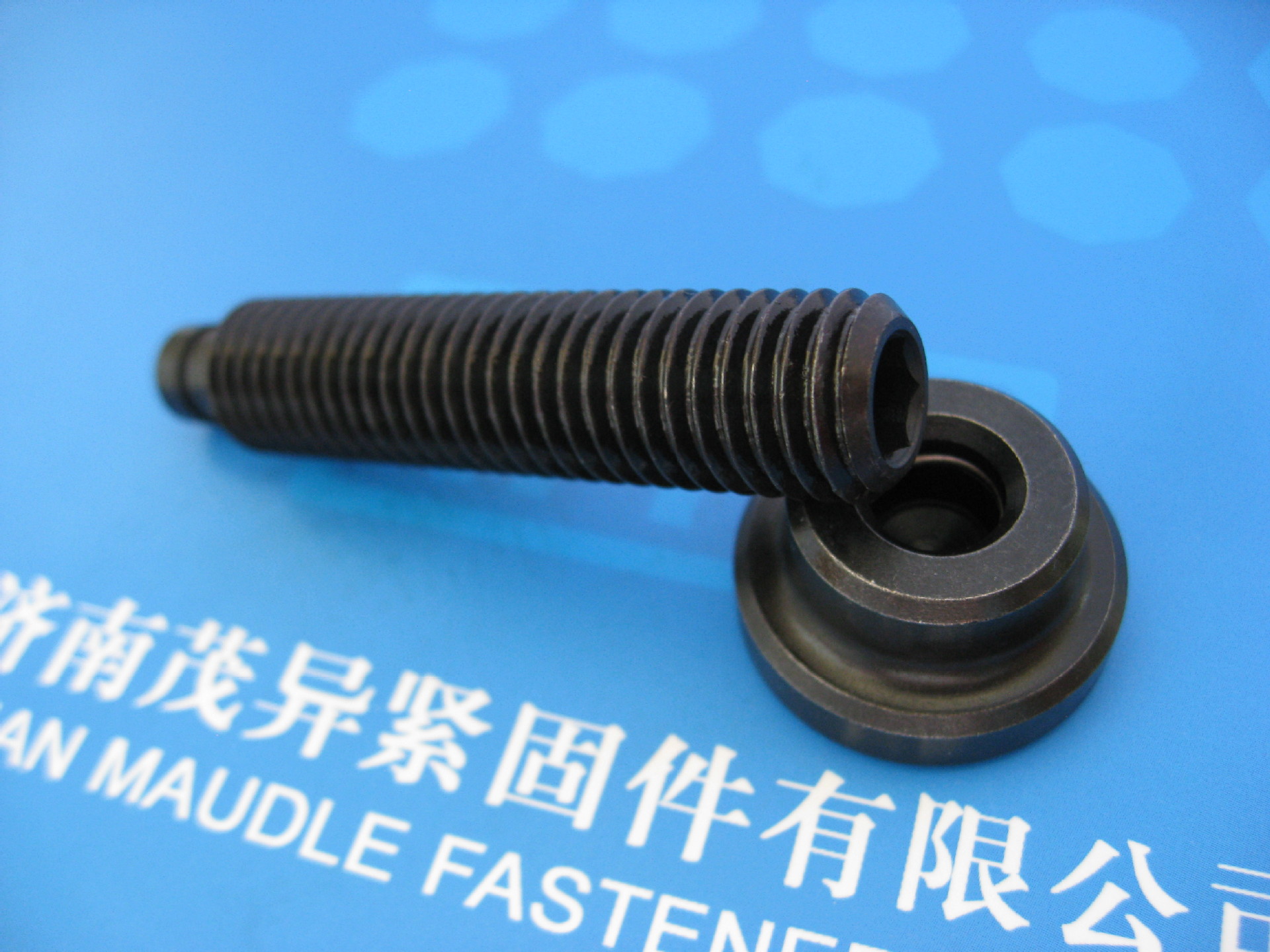 带推力点的螺钉DIN6332 (13)