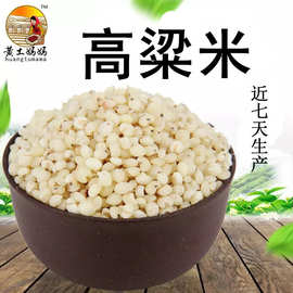 农产品高粱米新货480g 低温烘焙熟高粱米 农家脱皮高粱米