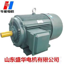 YE3-30kw-90kw，2极，水泵用河南郑州新乡开封洛阳电机生产厂家