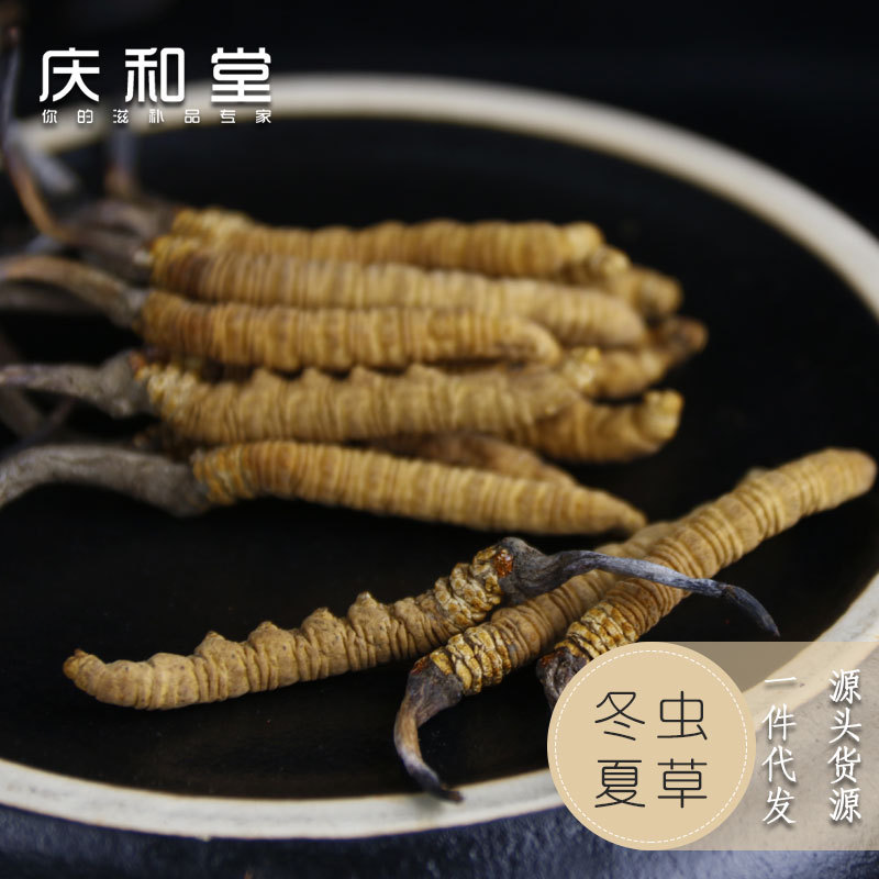 【庆和堂】西藏那曲虫草 高原高拔冬虫夏草货源一件代发滋补批发|ru